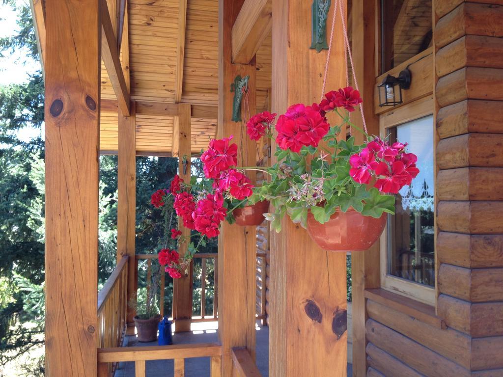 Hosteria Baerenhaus San Martín de los Andes المظهر الخارجي الصورة
