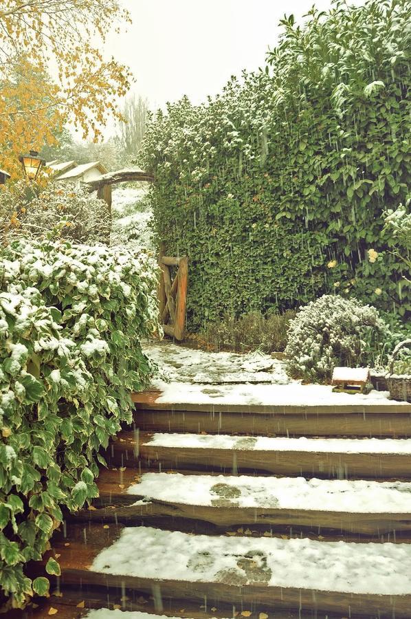 Hosteria Baerenhaus San Martín de los Andes المظهر الخارجي الصورة